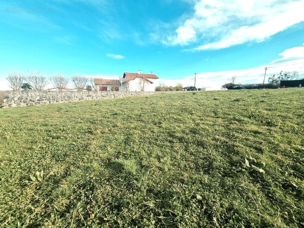 Terrain à SAINT-PALAIS