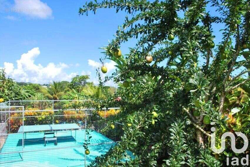 Photo 6 - Autre à GOYAVE