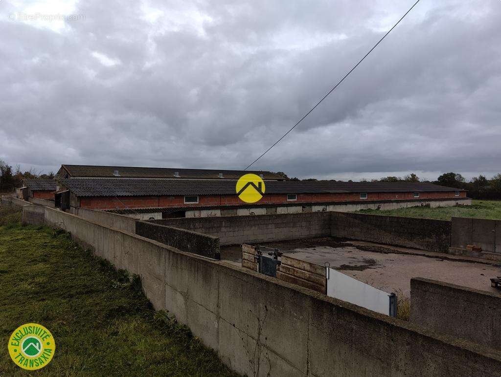 Commerce à LURCY-LEVIS