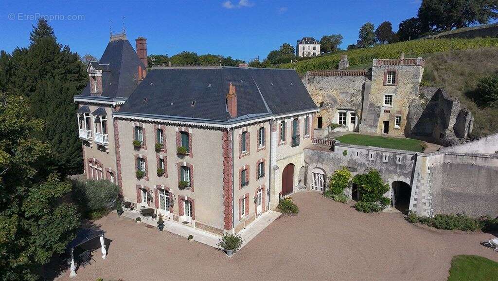 Vernou sur Brenne, 37210, Maison 340 m2, Maison de gardien et 2 gites 160 m2, 8 chambres, piscine, p - photo 2
