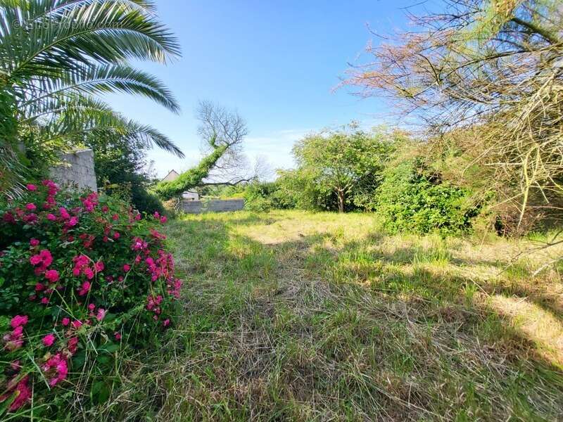 Maison à TELGRUC-SUR-MER