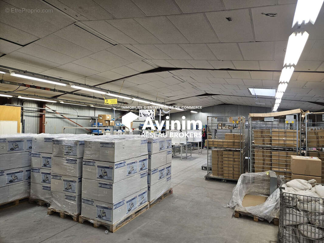 Commerce à SAINT-TRIVIER-DE-COURTES