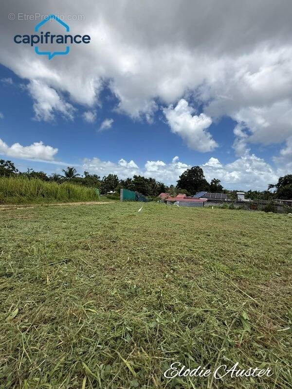 Terrain à BAIE-MAHAULT