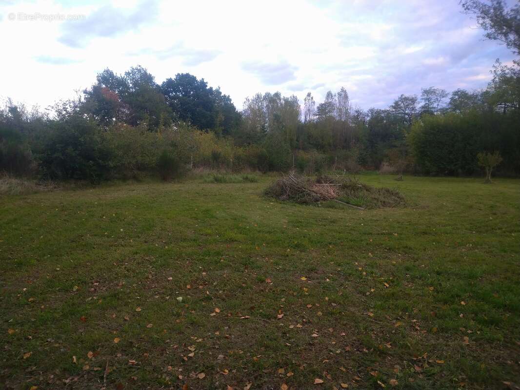 Terrain à LE TEMPLE-SUR-LOT