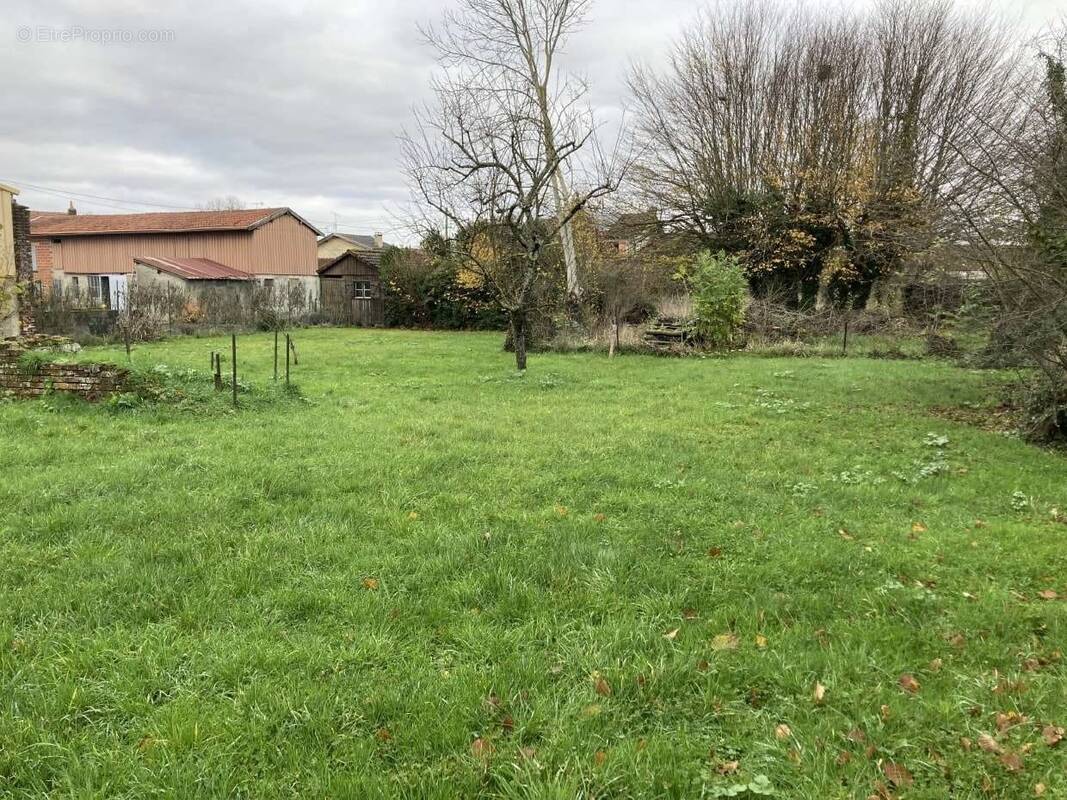 Terrain à ECLARON-BRAUCOURT-SAINTE-LIVIERE