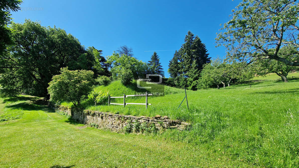 Maison à POLEYMIEUX-AU-MONT-D'OR