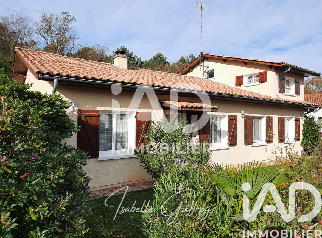 Photo 3 - Maison à CASTELNAU-DE-MEDOC