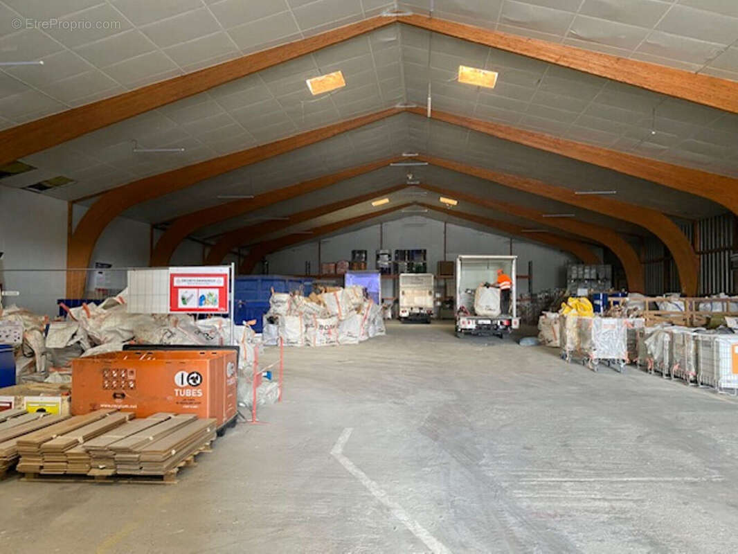 Local d'activité Loire Authion de 1370 m2, locataire en place - photo 3