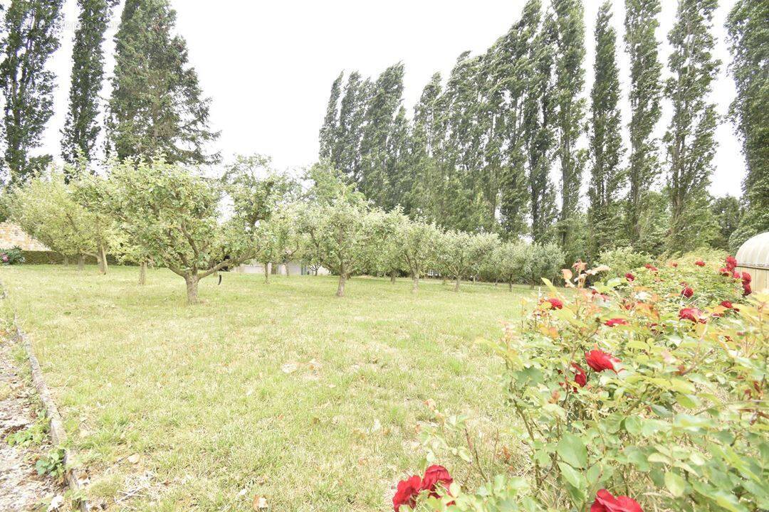 Maison à SAINT-HILAIRE-LEZ-CAMBRAI