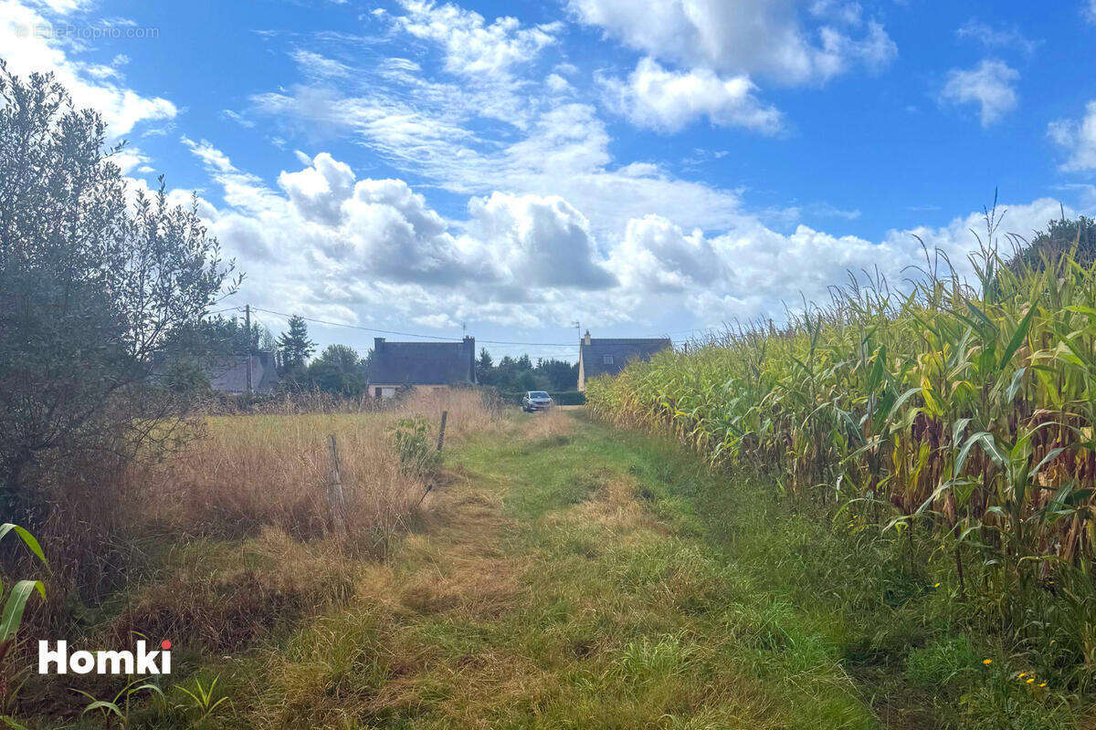 Terrain à LANGONNET