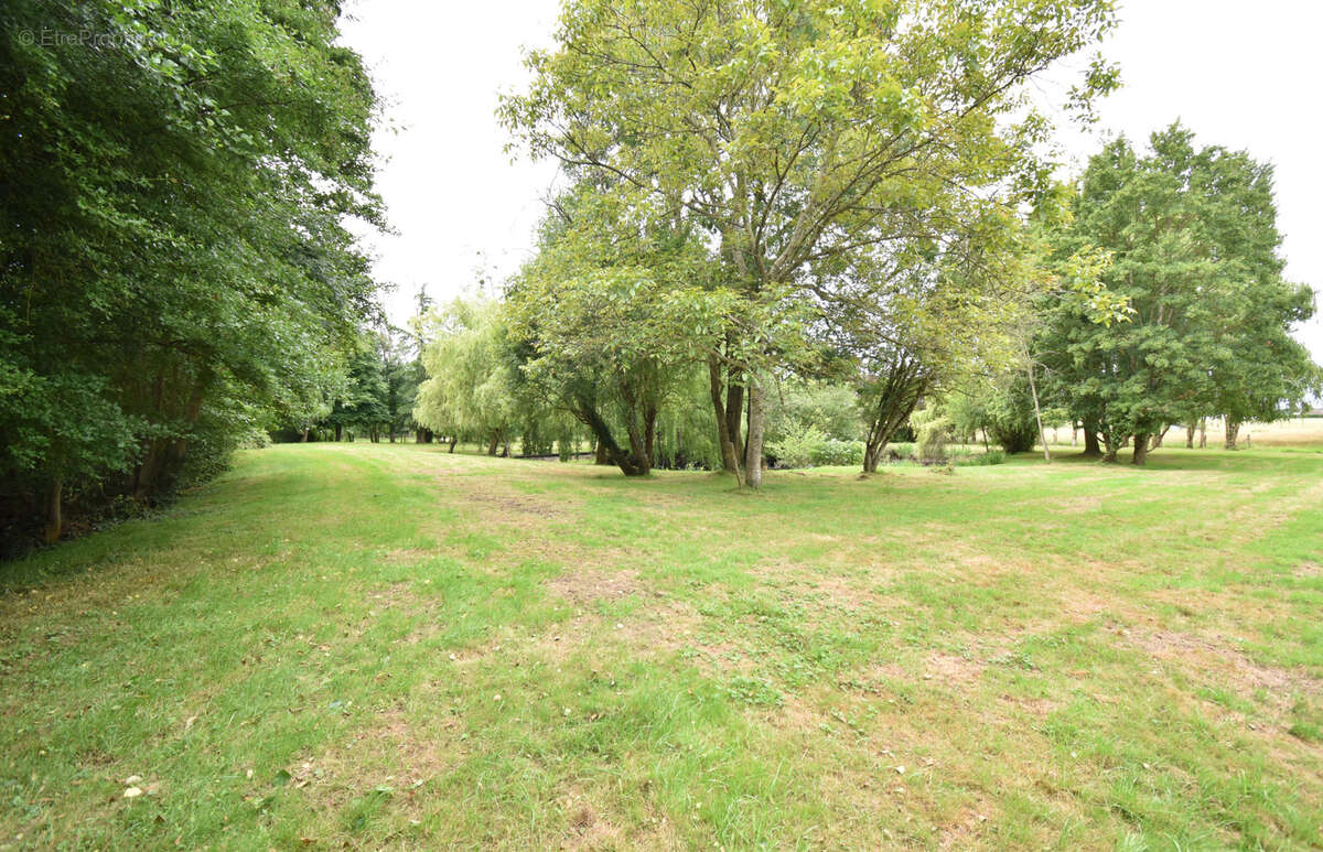Terrain à MEREGLISE