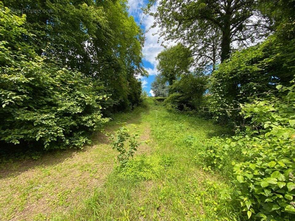 Terrain à CERGY