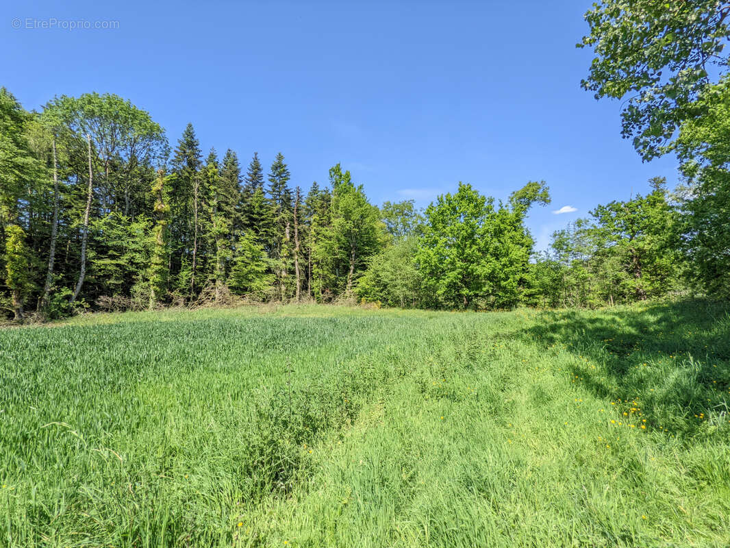 Un Manoir en Brocéliande à acheter avec CHT Immobilier - photo 40