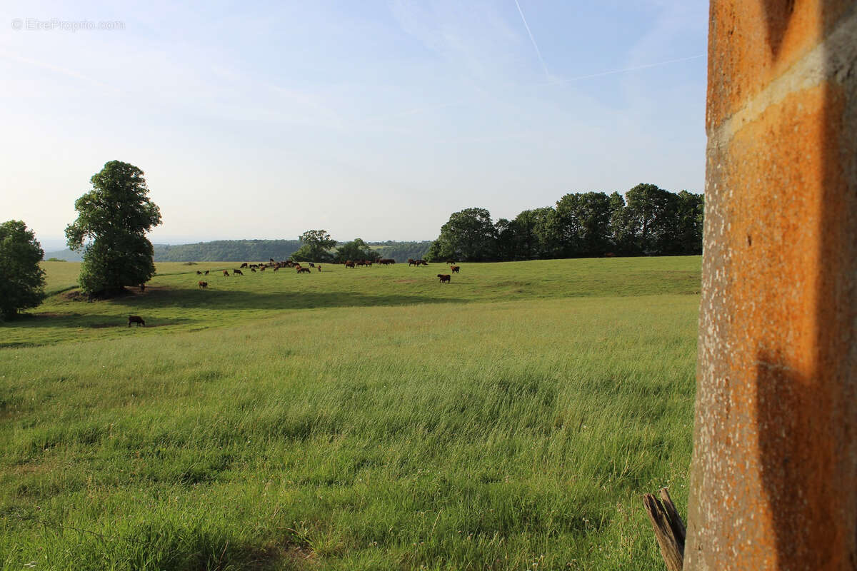 Maison à ANGLARDS-DE-SALERS