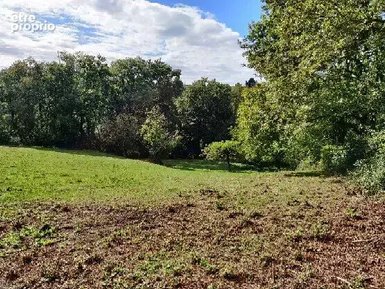 Terrain Saillac 5840 m2 - photo 2