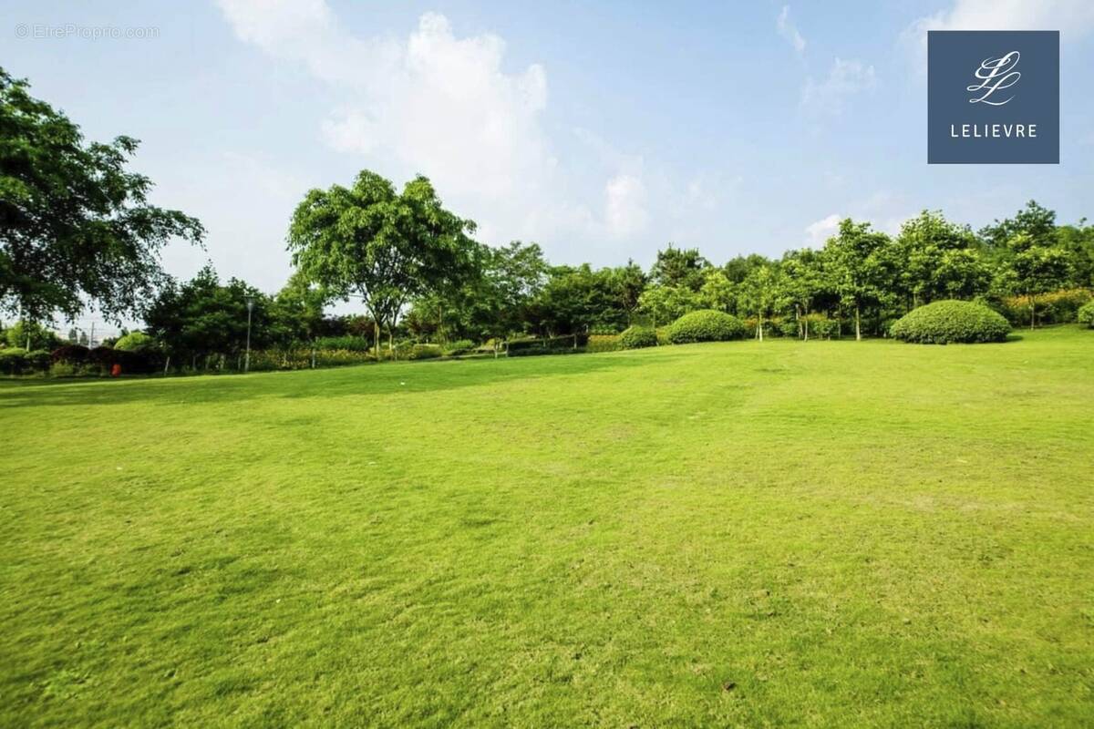 Terrain à SAVONNIERES