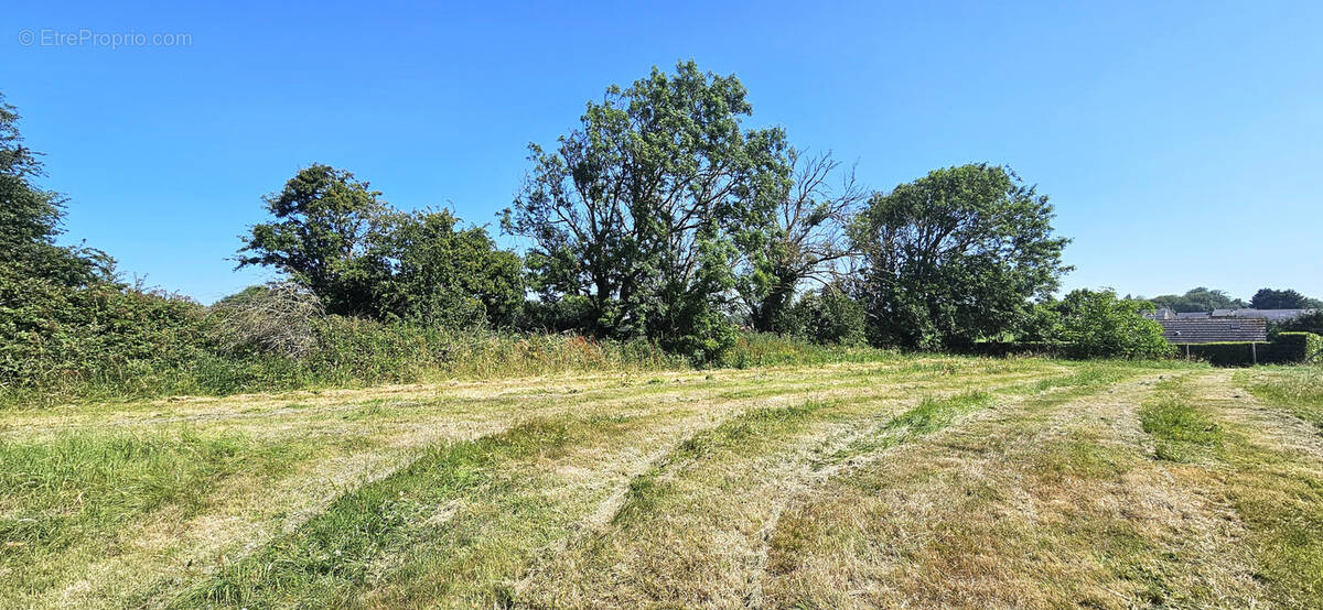 Terrain à SAINT-LAURENT-SUR-MER
