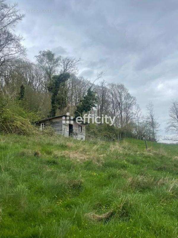 Maison à COLLEVILLE