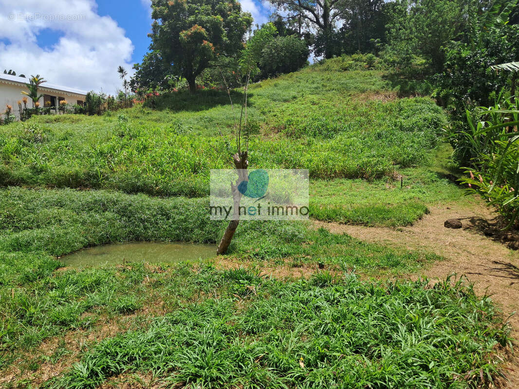 Terrain à LE LAMENTIN