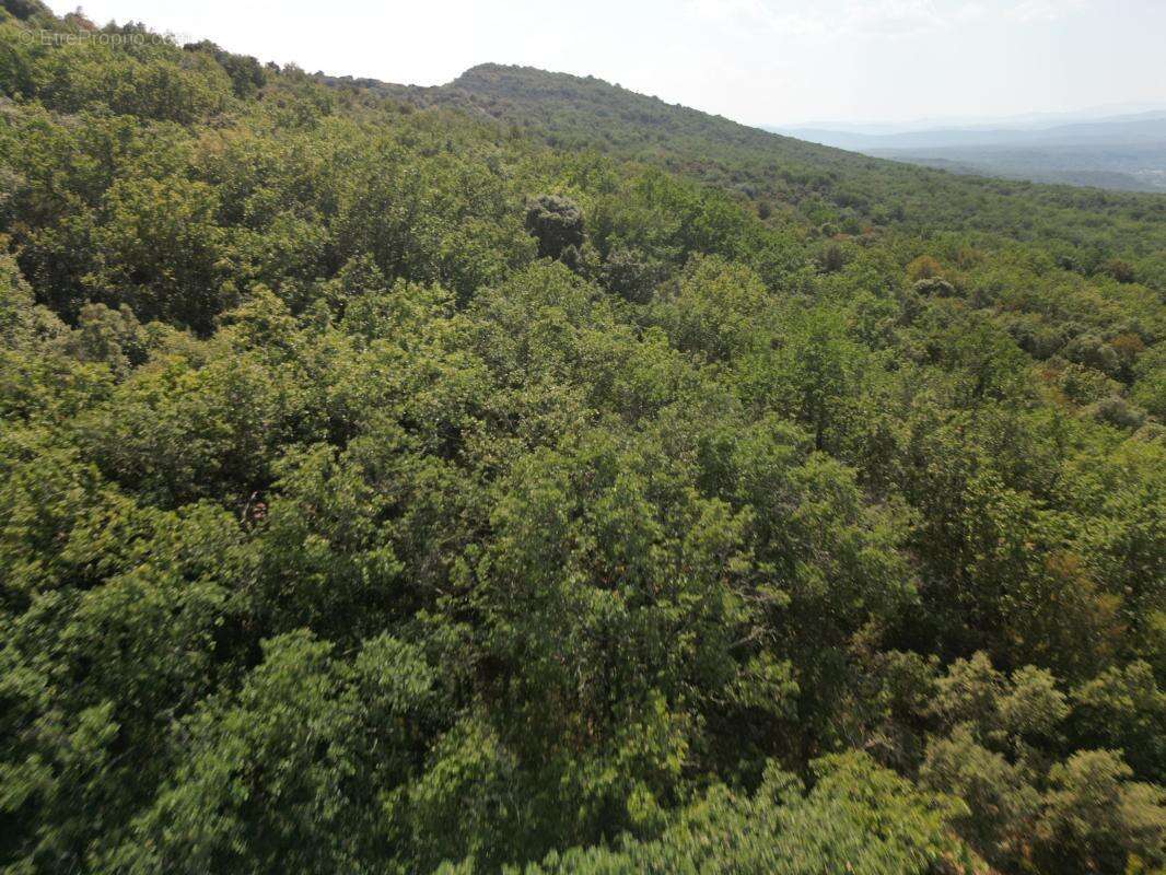 Terrain À Vendre - photo 5