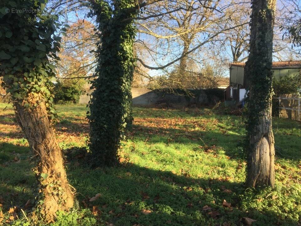 Terrain à SAINT-MAGNE