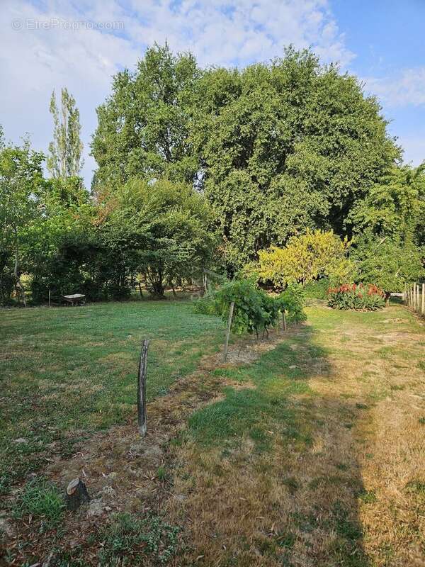 Jolie maison avec dépendance et grand terrain à deux kms de Castelnau d'Auzan - photo 5