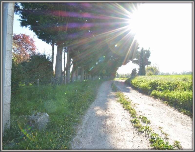 Maison à IVOY-LE-PRE