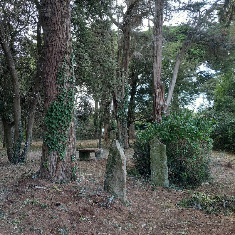 Terrain à L&#039;EPINE