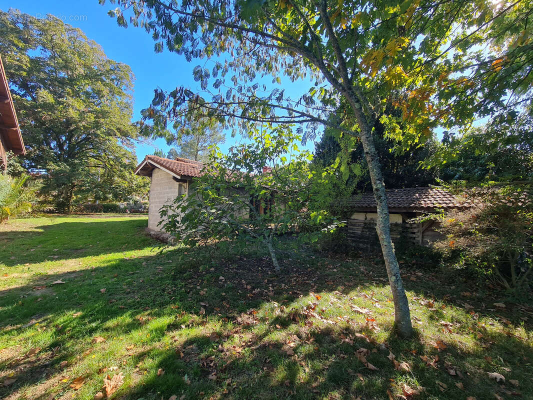 Maison à SAUGNACQ-ET-MURET