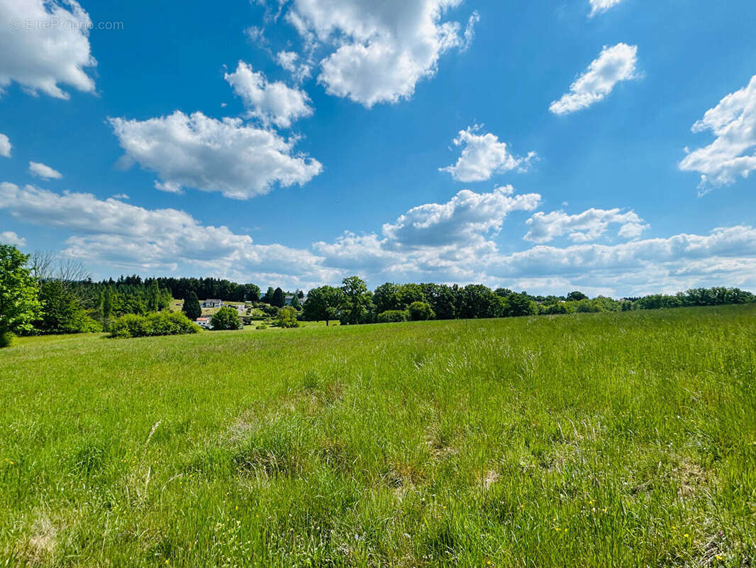 Terrain à SAULCY-SUR-MEURTHE