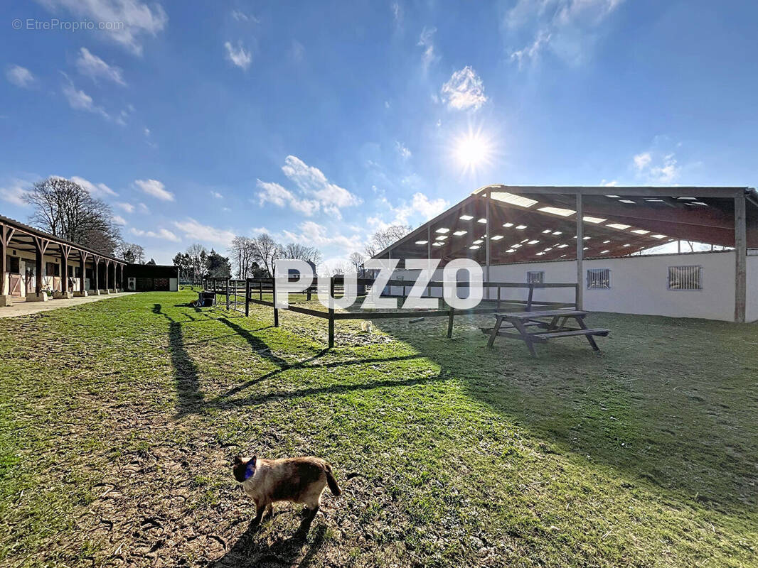 Maison à BLOSSEVILLE