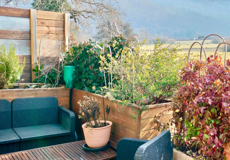 Appartement à QUINTAL