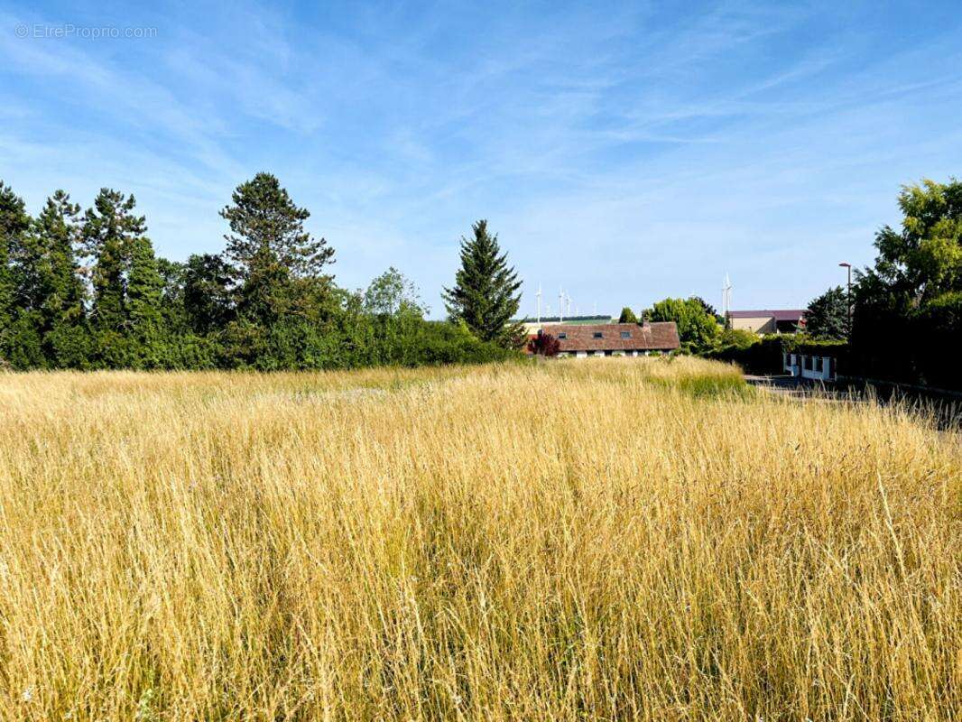Terrain à LES GRANDES-CHAPELLES