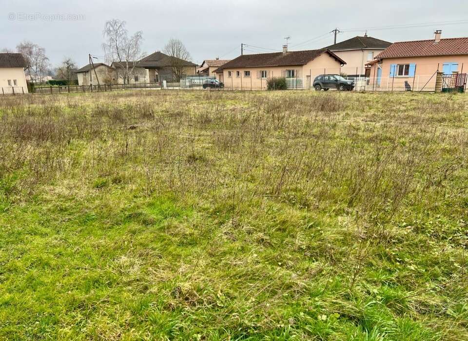Terrain à FEILLENS