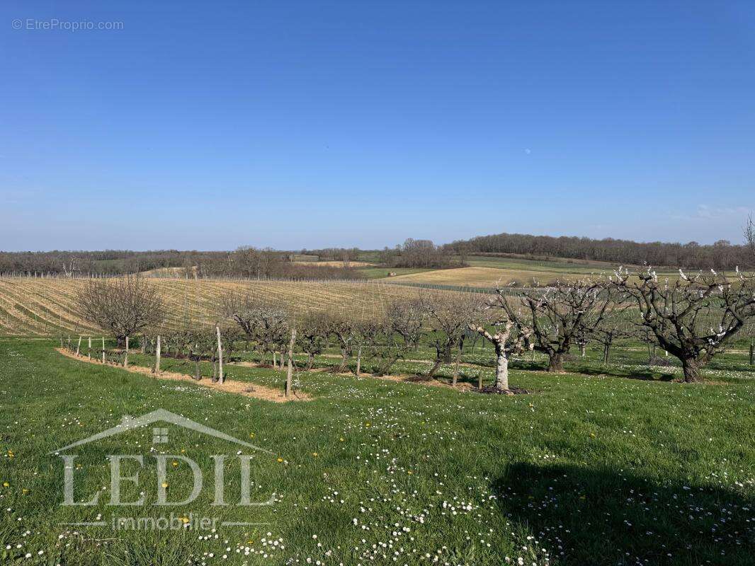 Maison à VALENCE-SUR-BAISE