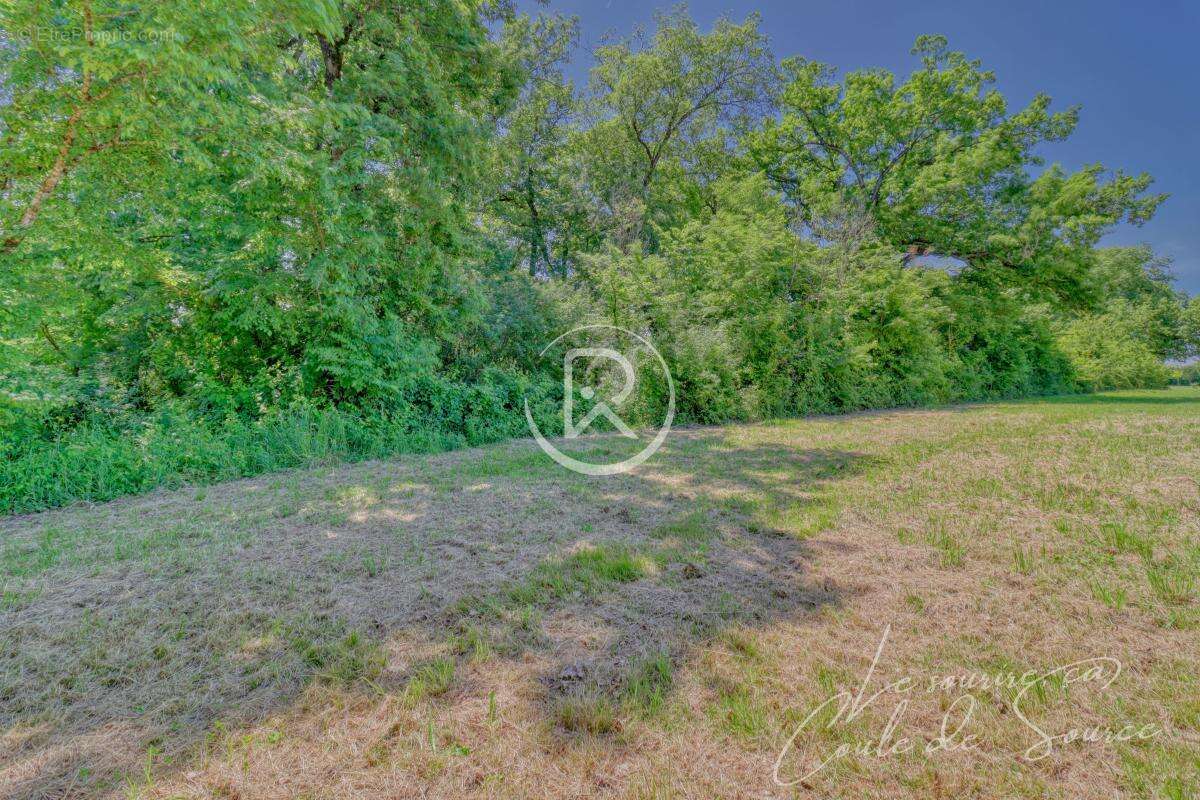 Terrain à BEAUMONT-DE-LOMAGNE