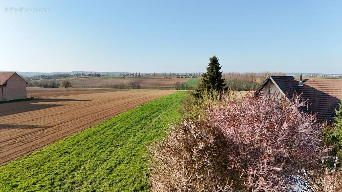 Appartement à HURTIGHEIM