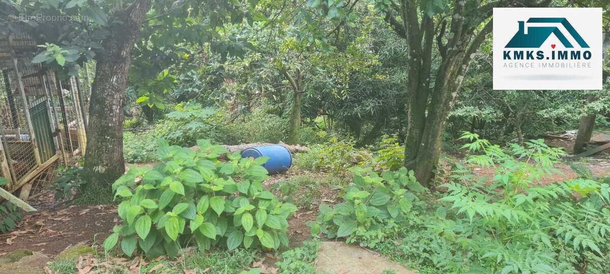 Terrain à LE LAMENTIN