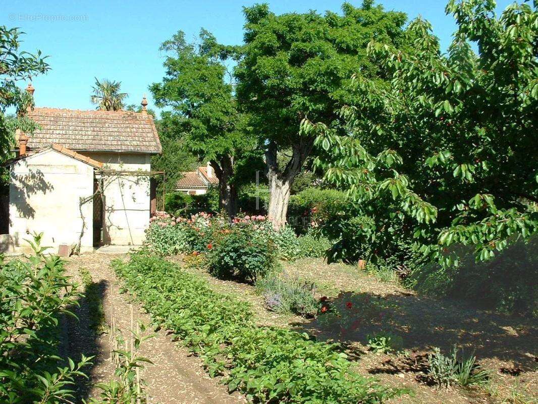 Terrain à SAINT-REMY-DE-PROVENCE