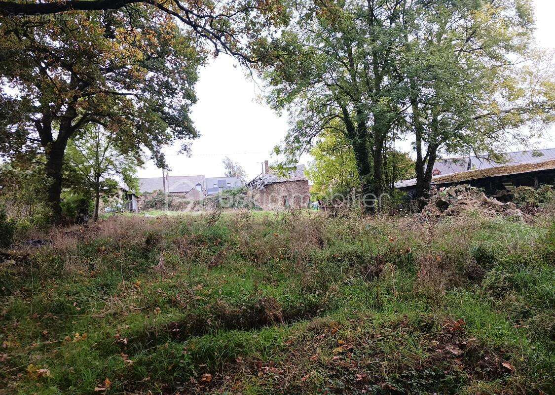 Maison à MARTIGNE-FERCHAUD