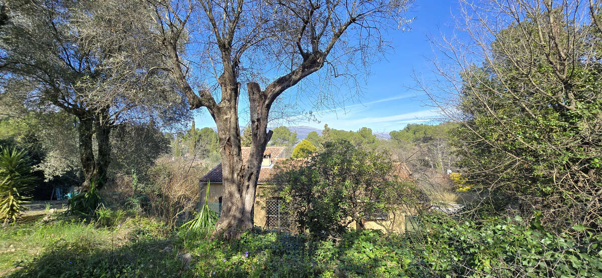 MOUANS-SARTOUX à vendre au calme absolu maison de plain-pied 3 pièces de 79 m2 sur 2.500 m2 de terrain - photo 3