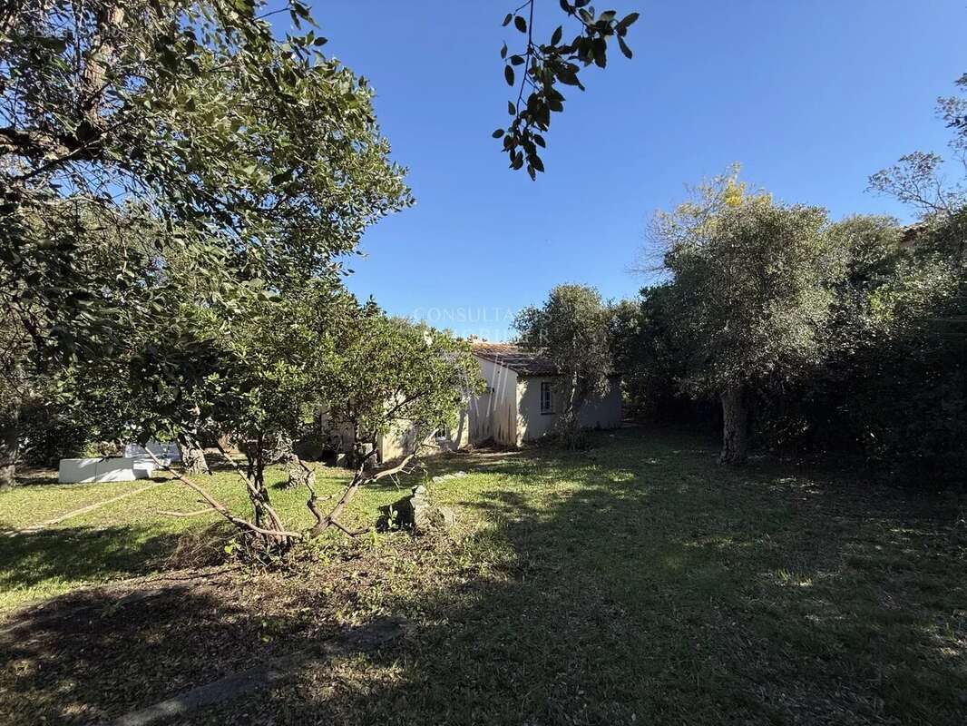 Maison à RAMATUELLE