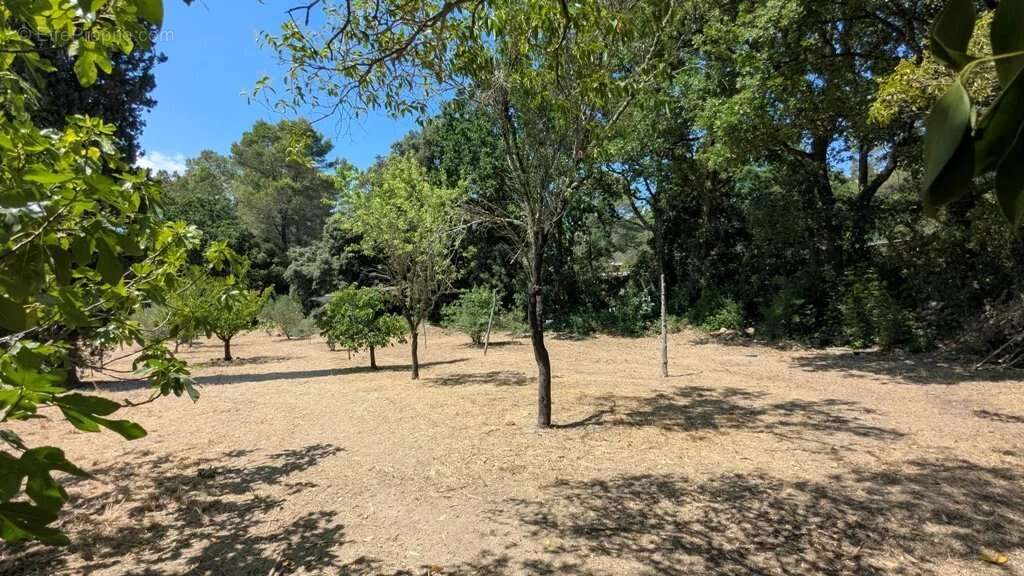 COTIGNAC Maison ancienne sur 4.862m² - photo 10