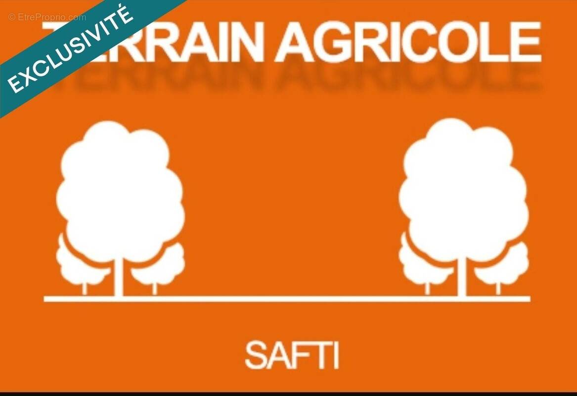 Photo 1 - Terrain à CHAVIGNY