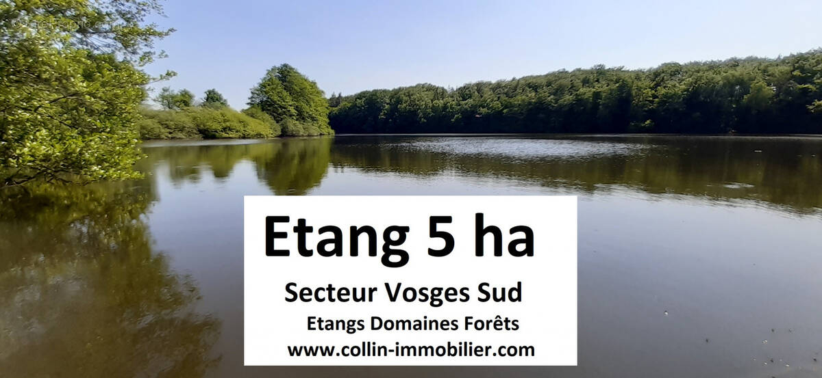 Terrain à PLOMBIERES-LES-BAINS