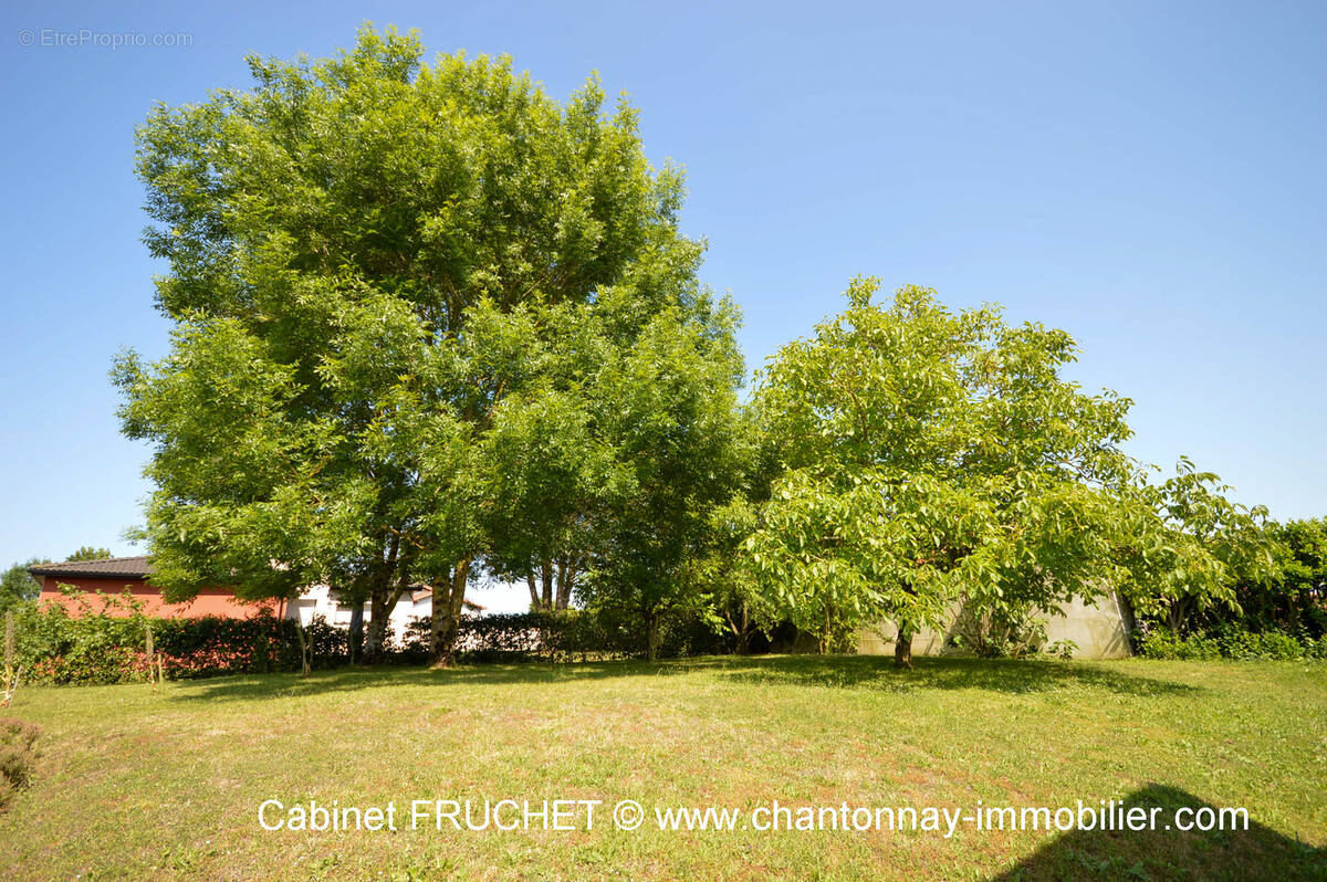 Maison à SAINTE-FLORENCE