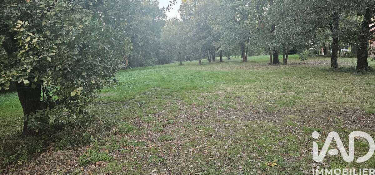 Terrain 2207 m² à Mauressac  - photo 2