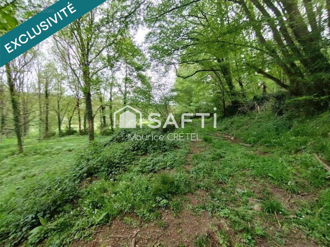 Photo 2 - Terrain à MONTAIGU