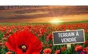 Terrain à MILLERY