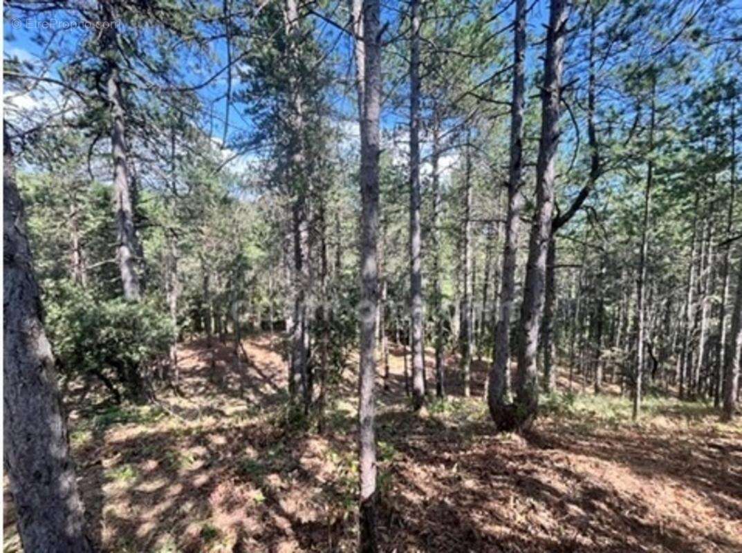 Terrain à vendre de 3 577,00 m² BOURG SAINT ANDEOL (07) - photo 4